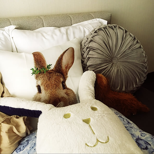 peco_travellerさんの実例写真