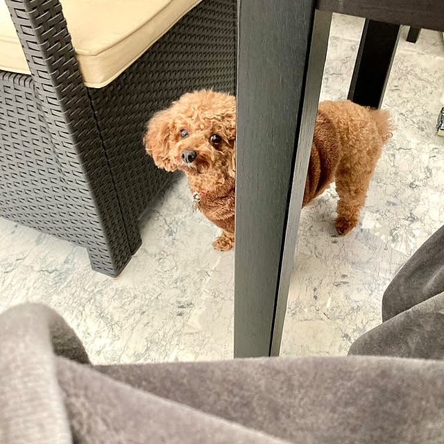 MOMOMAMAさんの実例写真