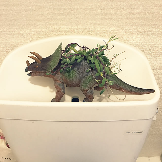 wahaha_happy_smileさんの実例写真