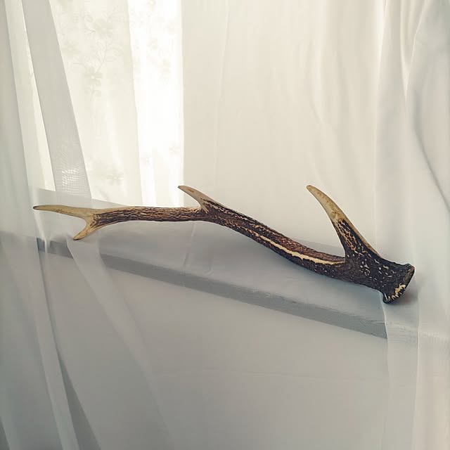 Maroさんの実例写真