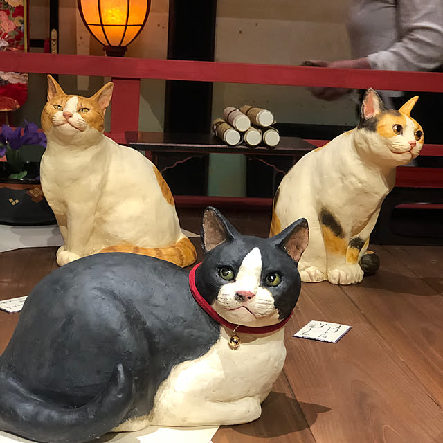 Toruさんの部屋