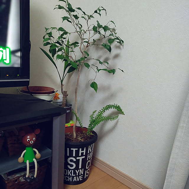 Ri-さんの実例写真