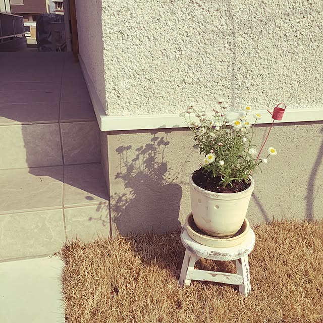 ha_83さんの実例写真