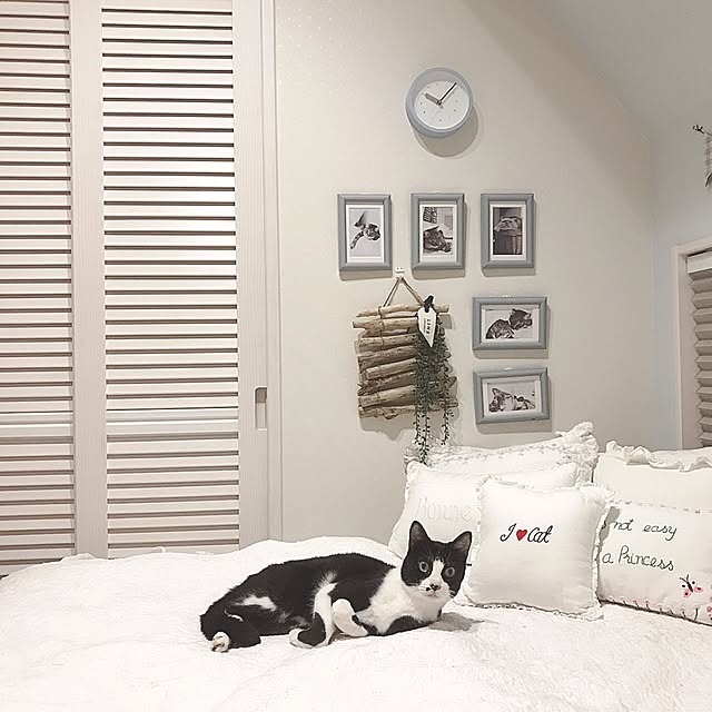 lovecatさんの実例写真