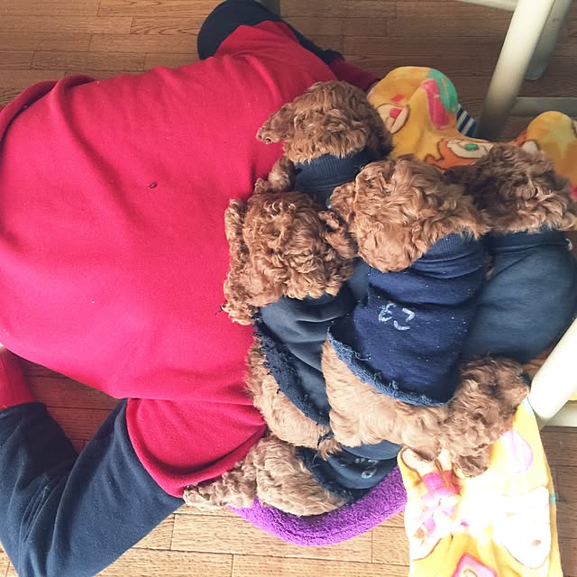 sei.kan.hide.chiyoさんの実例写真