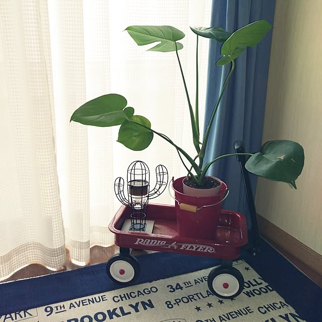 kobaaya21さんの実例写真