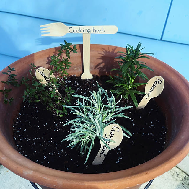 Ohigeさんのお部屋の写真