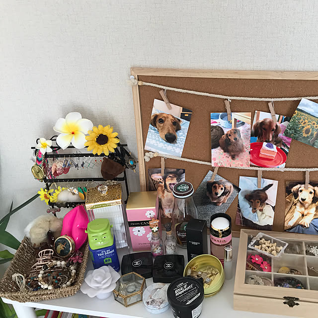 hamuさんの実例写真