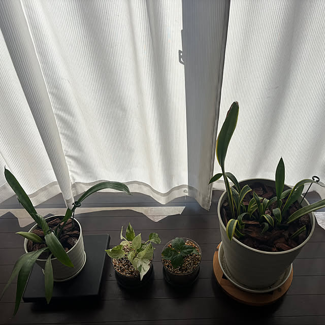 mska1114さんの実例写真