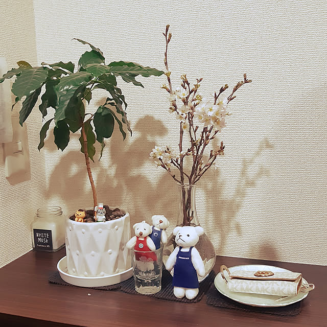玄関/入り口/IKEA/Francfranc/一人暮らし/観葉植物...などのインテリア実例 - 2020-03-24 22:41:10