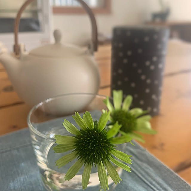 67さんの部屋
