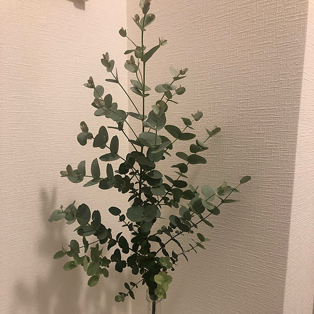 Reinaさんの実例写真