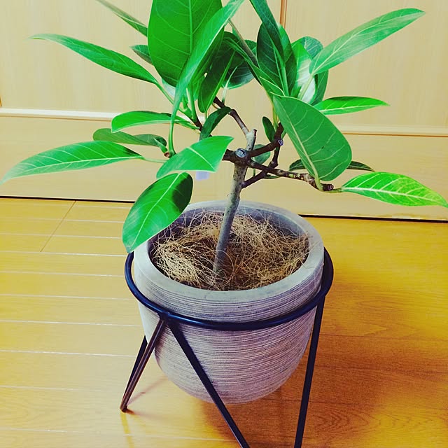 akmさんの実例写真