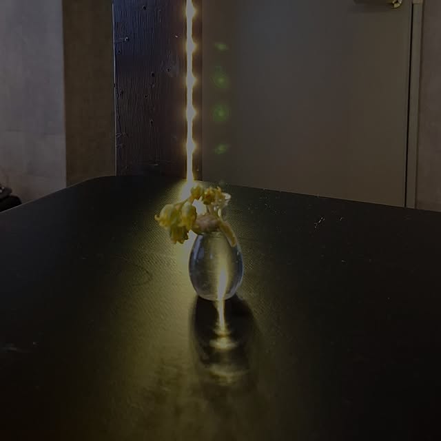 noaさんの実例写真