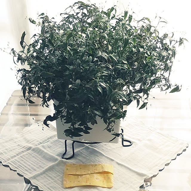 noaさんの実例写真