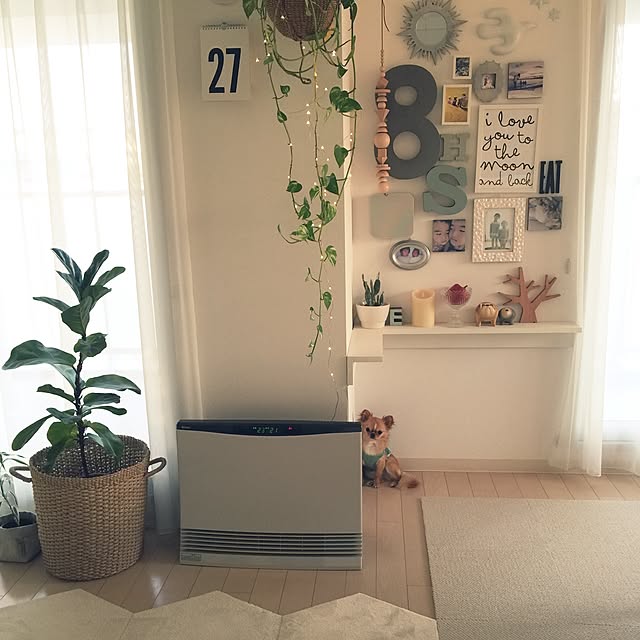 haruhinaさんの実例写真