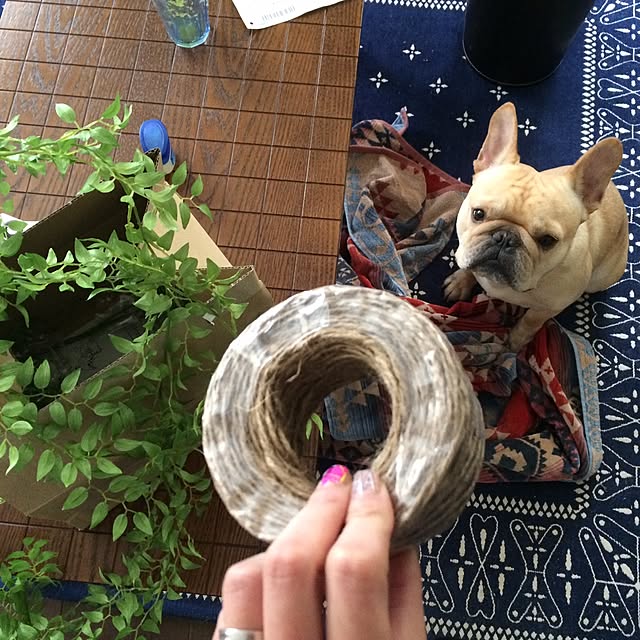 実例写真