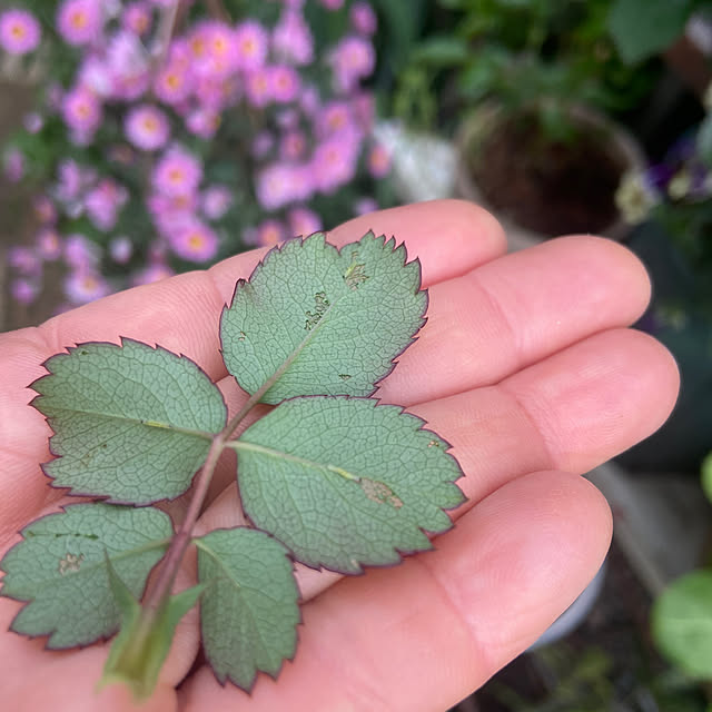 na-chanさんの部屋