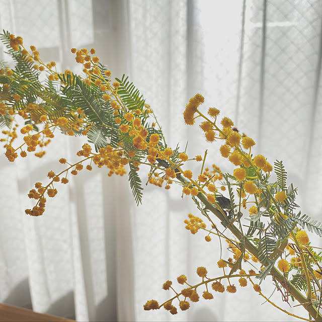 mimi__chambreさんの実例写真