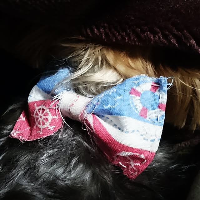 kityu_silviaさんの実例写真