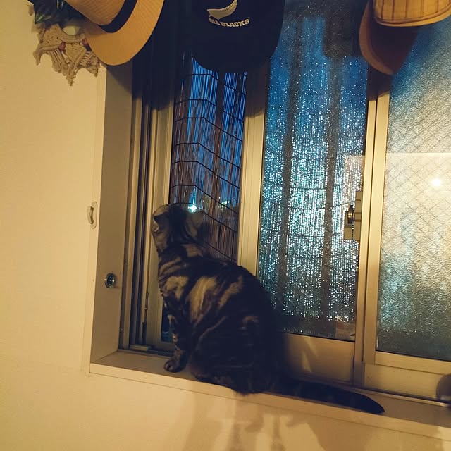 Yoko622さんの実例写真