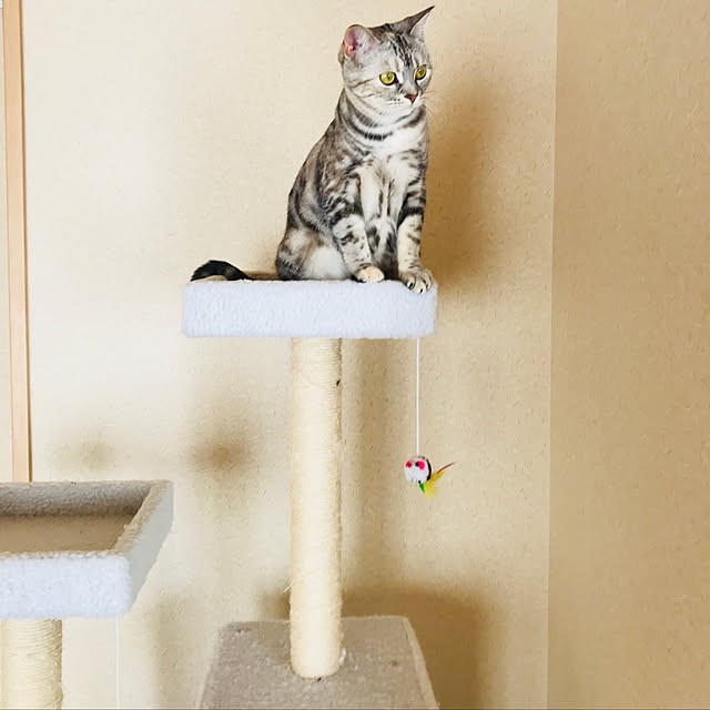 tajaboさんの実例写真