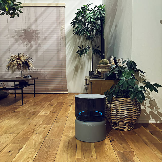 chisarucanさんの実例写真