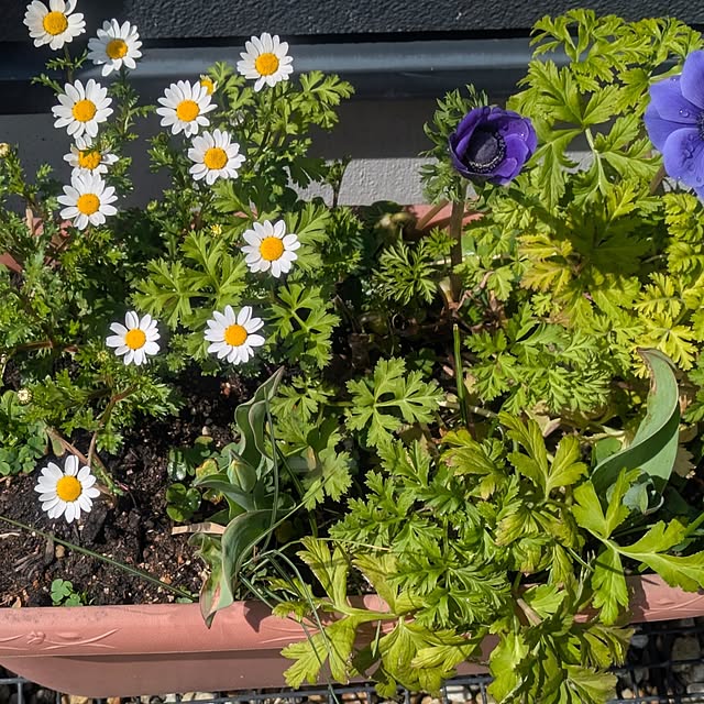 quanshanxia037さんの部屋