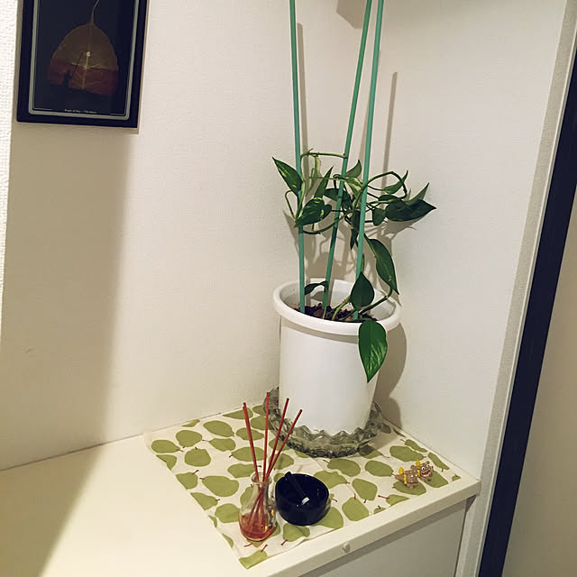 fujiyamaさんの実例写真