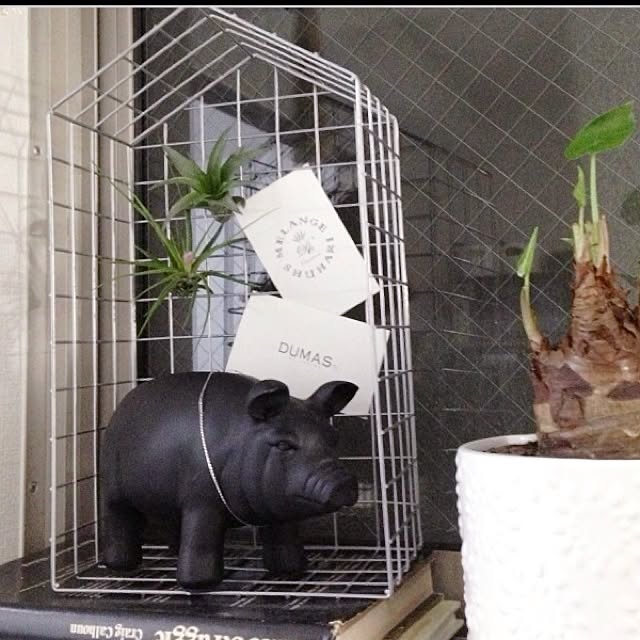 Maikaさんの実例写真