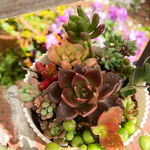 **yuu**さんの実例写真