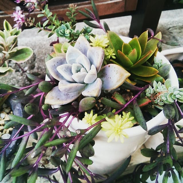 VERANDARJUNさんの実例写真