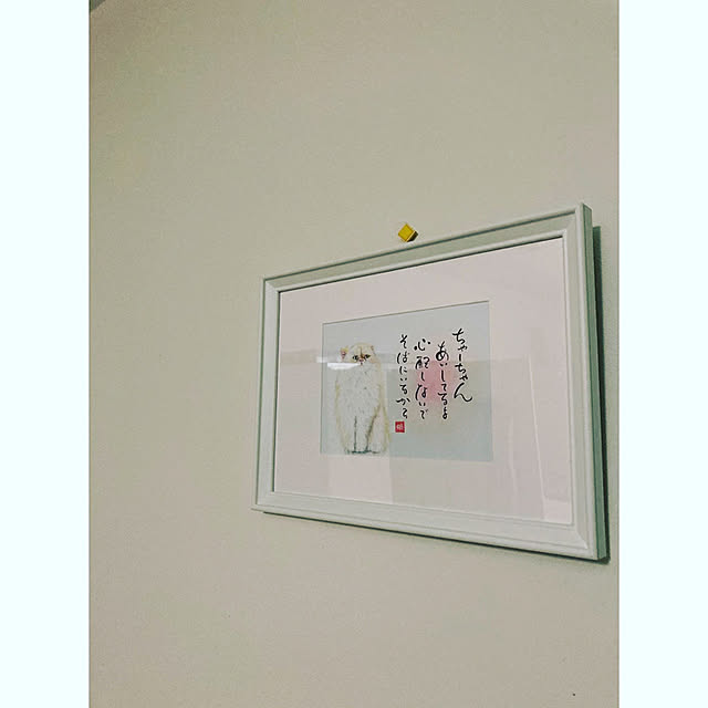 hinamama5さんの実例写真