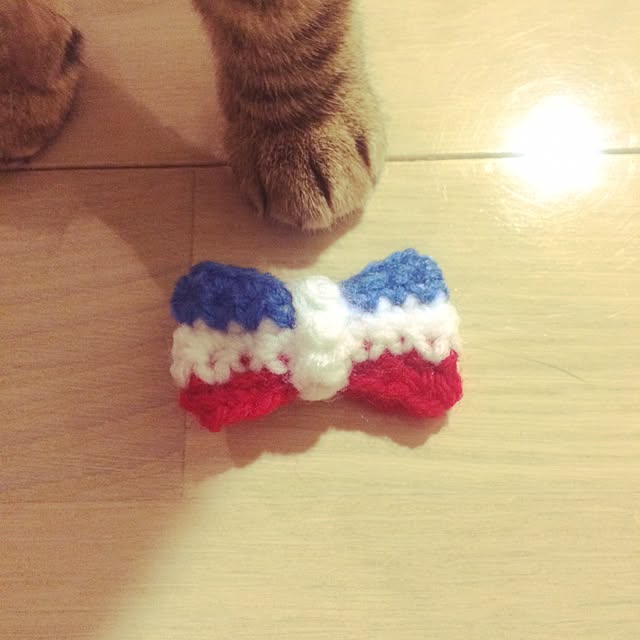 ayapiiiiceさんの実例写真
