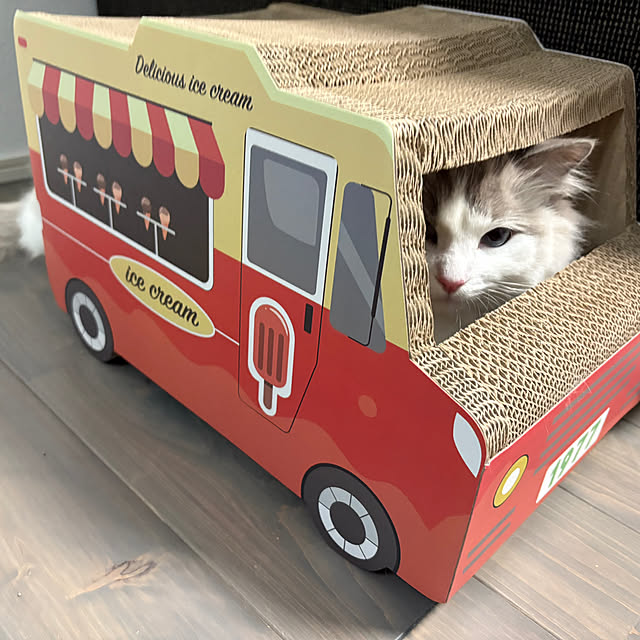 tasoさんの部屋