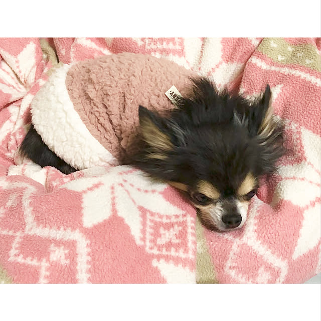aiko_y_1120さんの実例写真
