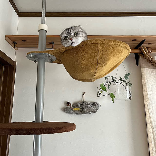 kuuさんの部屋