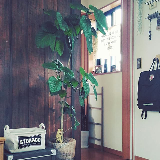 masami23yさんの実例写真