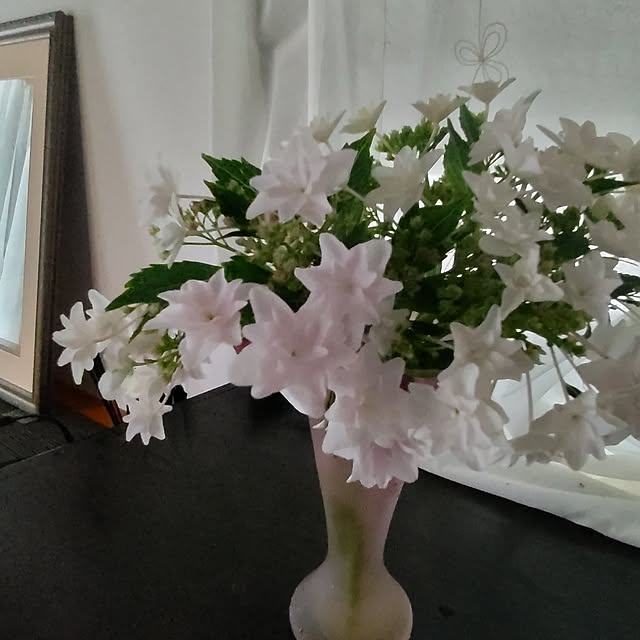 salacocoさんの実例写真