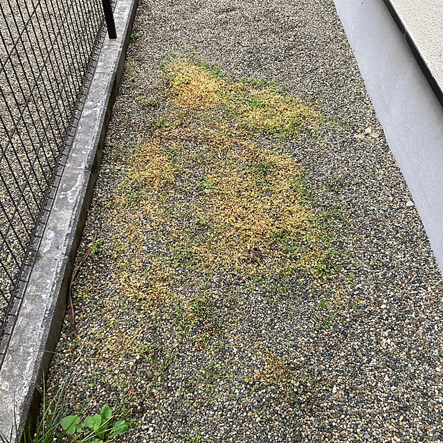 sunabaさんの部屋
