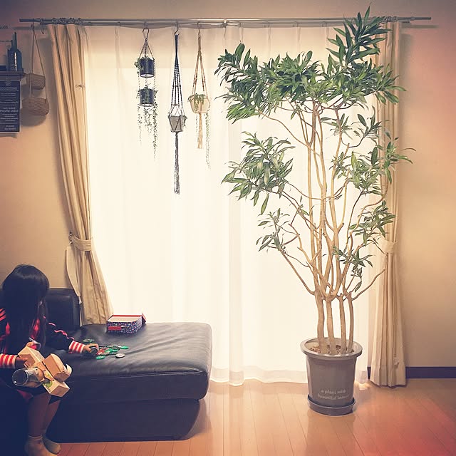mami.さんの実例写真
