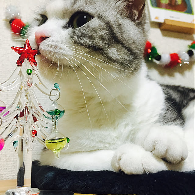 narashimhaさんの実例写真