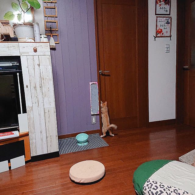 kikiさんの実例写真