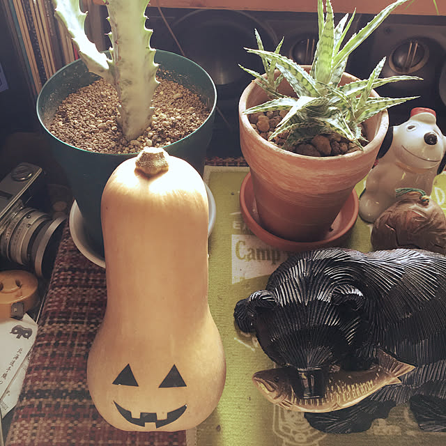 mametaro1230さんの実例写真