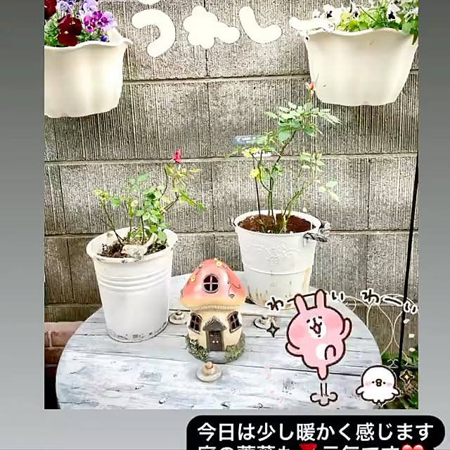 YuuKoさんの実例写真