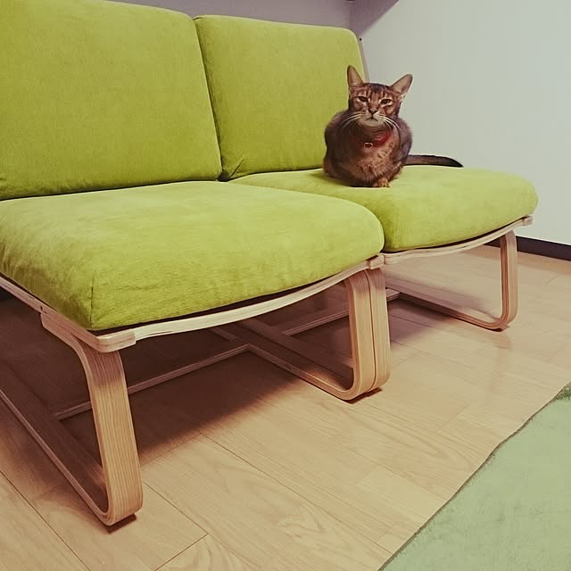 gruenさんの実例写真