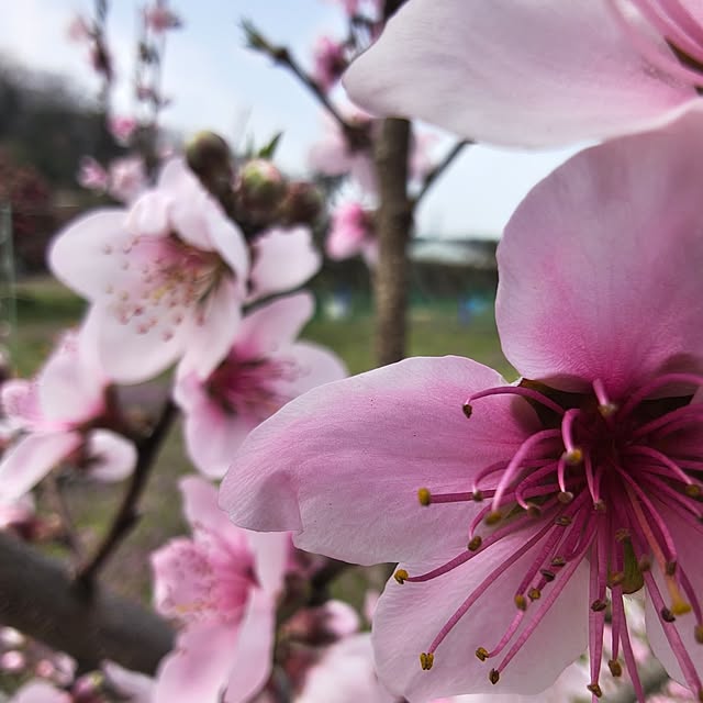 Rubiconさんの部屋