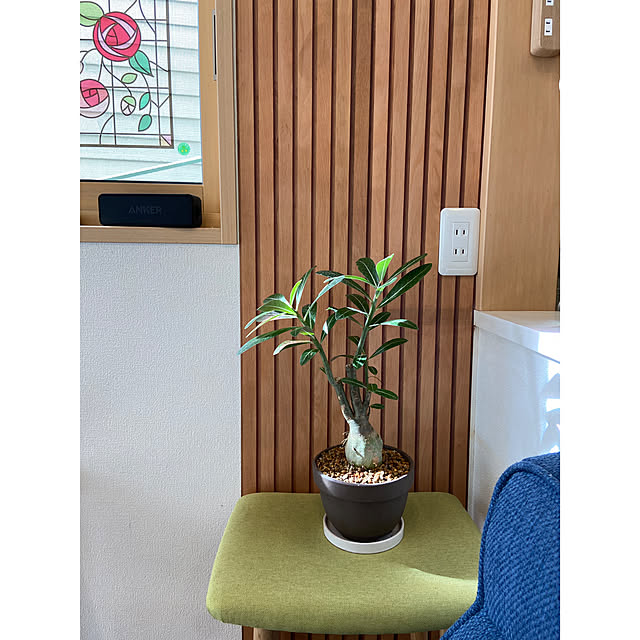 m_kさんの実例写真
