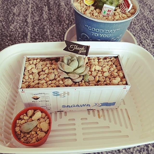 meiさんの実例写真