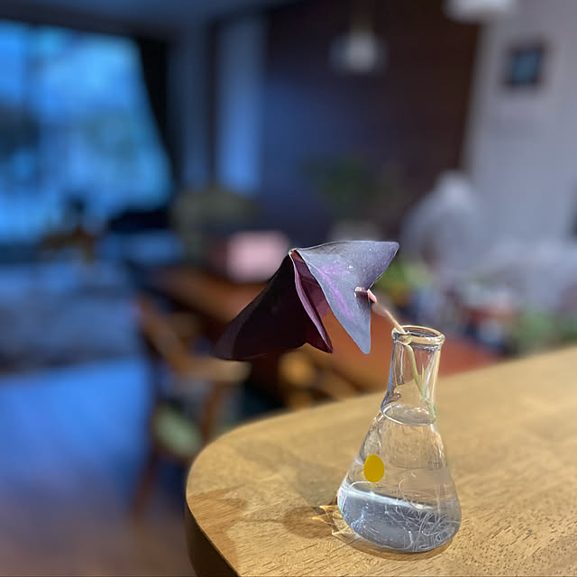 buchiさんの実例写真